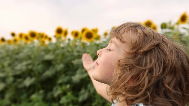 A little girl enjoys the sun in a field of sunflowers. Slow motion