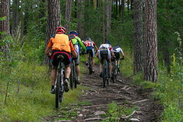 Fototapeta premium Group of mountain bike riders rides uphill on forest trail