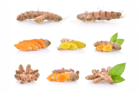 Turmeric collection isolated on white background