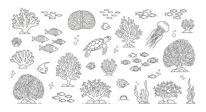 Marine life line art icons with coral fish and turtle