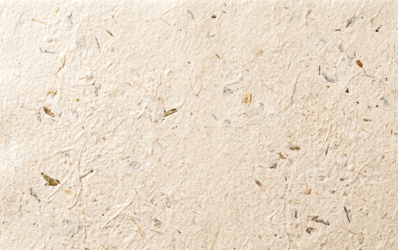 Beige handmade mulberry paper texture background with natural fiber and flower petal specks for organic message mockup