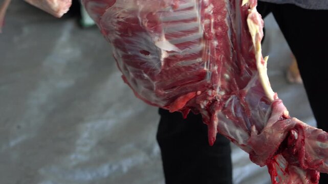 Fresh raw lamb carcass hanging in a butcher shop
