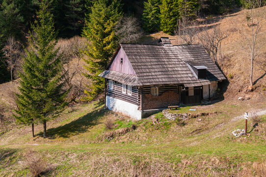 View of the traditional wooden cabin at Prasnica old charcoal burners' settlement on a grassy hillside surrounded by trees in Stare Hory, Banskobystricky kraj, Slovakia.