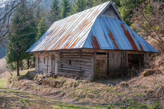 View of the traditional wooden log cabin at the Prasnica - old charcoal burners' settlement surrounded by evergreen trees and dry grass Stare Hory, Banskobystricky kraj, Slovakia.