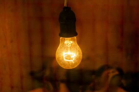Heating bulb used to keep baby chicks warm inside a wooden brooder box on a poultry farm.