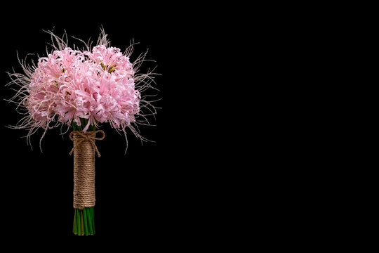 Pink nerine lily wedding bouquet wrapped in jute twine on black background with horizontal copy space