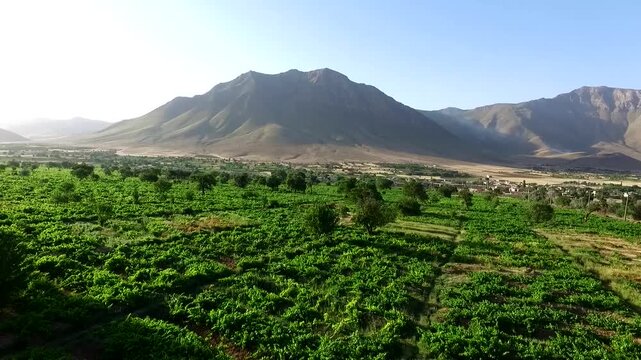 Freshly plowed brown field with straight furrows in agricultural land under blue sky creating rural farm and documentary scene perfect for stock video production.