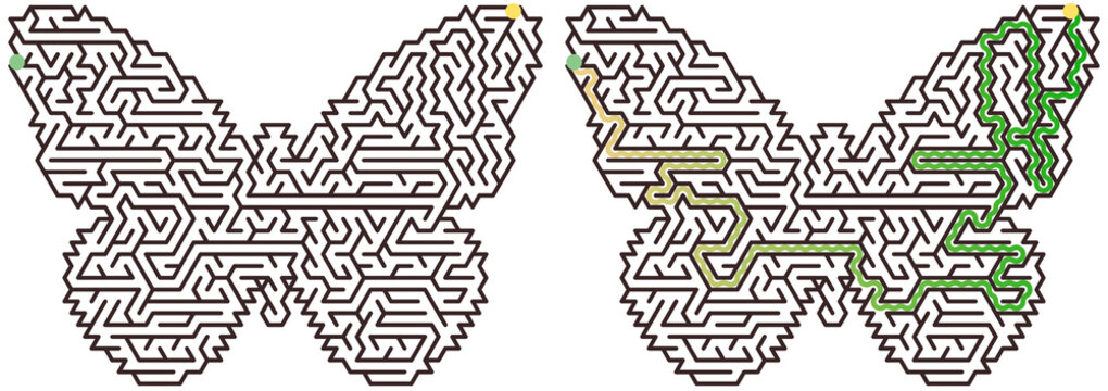 Butterfly-shaped geometric maze in dark brown and green colors representing puzzle game and logical challenge design