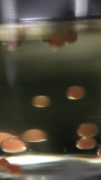 Chef elabora caviar falso con la t&eacute;cnica de esferificaci&oacute;n. Un chef profesional crea caviar falso mediante esferificaci&oacute;n. Gastronom&iacute;a molecular, t&eacute;cnica culinaria de vanguardia.