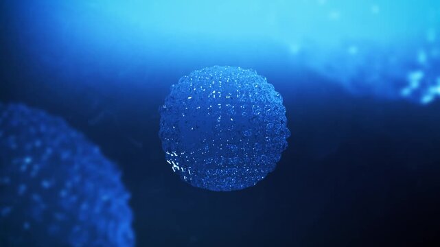 Norovirus Simulation In Humam Body