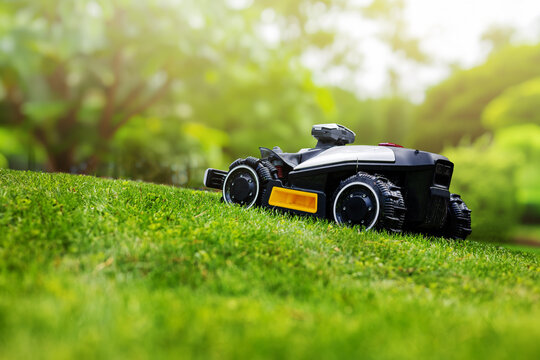 Robotic lawn mower working at garden cutting lush green grass on a slope. Automated lawn care
