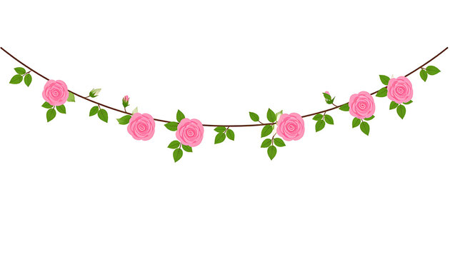 Isolated string of pink roses and green leaves, rose garland, floral decoration, garden party and summer celebration motif