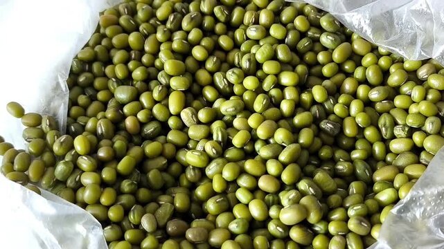 Green mung beans, beans in a bag close-up. Legumes