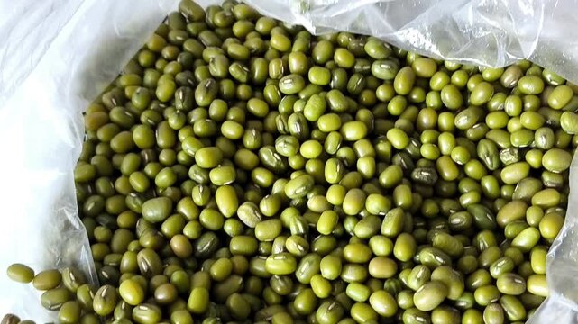 Green mung beans, beans in a bag close-up. Legumes