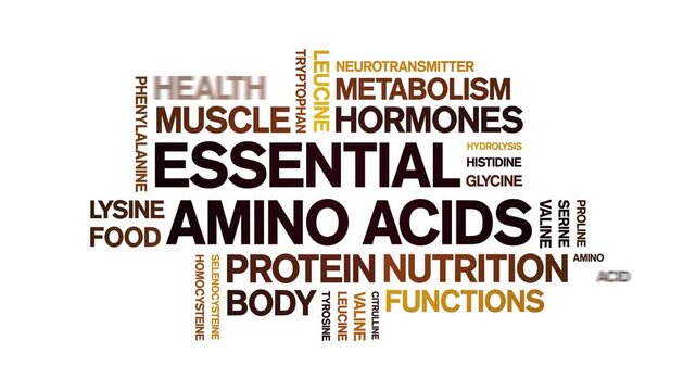Essential Amino Acids animated word cloud-text design animation tag kinetic typography seamless loop.