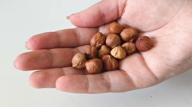 A handful of hazelnuts in your hand. Protein in nuts