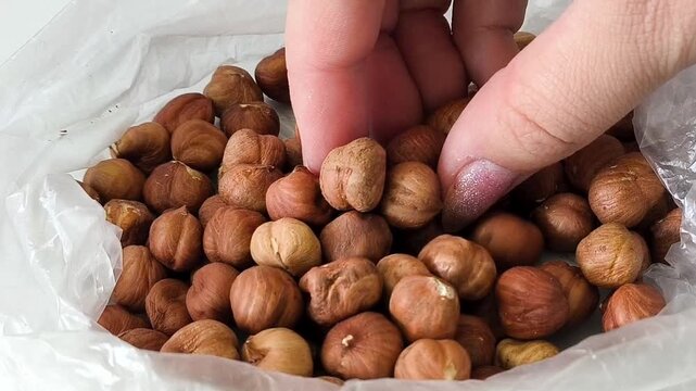 A woman's hand touches and pours hazelnuts in a bag. Protein in nuts