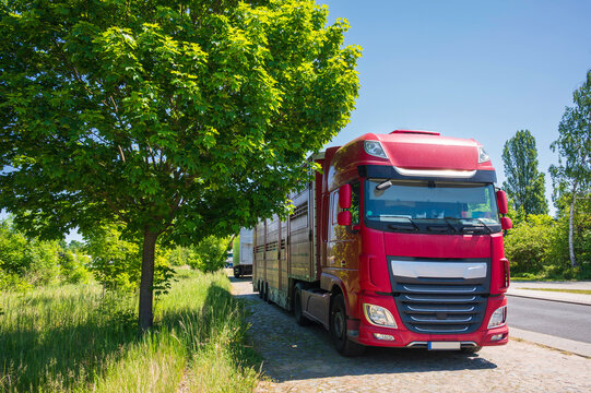 Ein parkender Tiertransporter am Strassenrand 