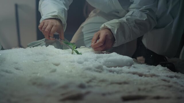 Biosafety officer extracts frozen plant sample, gloved technician lifts specimen from icy debris with tweezers, sterile instruments and closeup hands highlight contamination risk, sensors