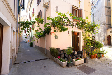 Obraz premium A narrow cobblestone alleyway is lined with buildings adorned with lush greenery in Piran, Slovenia