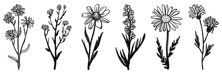 Obraz premium Contemporary Abstract Minimal Tattoo Flower Set with Ink Grunge Hand Drawn Wild Flowers in Charcoal Crayon and Pencil Sketch Style