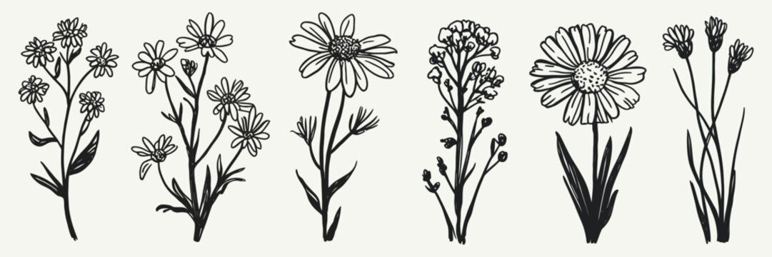 Contemporary Wild Flower Tattoo Collection with Abstract Pencil Drawn Floral Elements in Charcoal Crayon and Ink Grunge Style