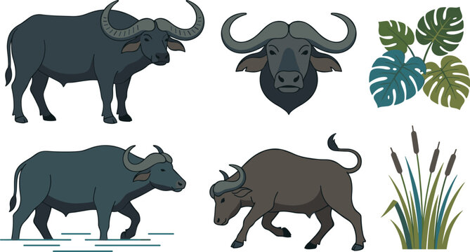 Water Buffalo Vector Collection Featuring Horned Wild Bovines, Tropical Nature Elements, Swamp Wildlife Animals, and Rustic Illustration Designs