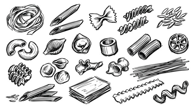 Various hand-drawn pasta shapes, including spaghetti, penne, fusilli, and farfalle, arranged on a clean white background in a sketch style