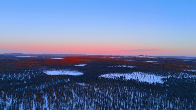 Overhead view of frozen wetlands and pine forest at arctic dusk, Lapland, Finland. Wide drone perspective of snow patches among dark conifers, red lit treetops and pink horizon under clear sky.