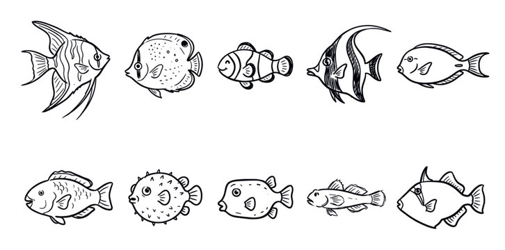 Collection of ten diverse hand-drawn fish illustrations, featuring various marine species in a simple black and white doodle style on a clean white background