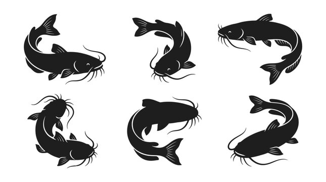 different black catfish silhouettes on a clean white background, minimalist vector style.