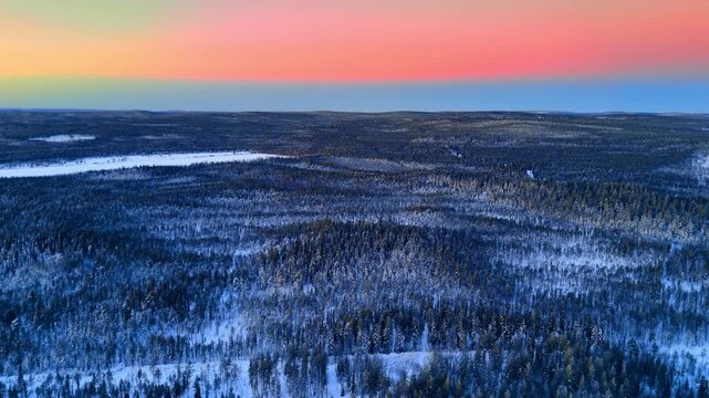 Snow covered taiga forest under pink polar sky, Lapland, Finland. Overhead drone perspective of vast frost laden conifers extending to distant hills, gradient from pink to pale blue at horizon.