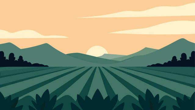 Silhouetted mountain range at sunrise over geometric patterned fields in golden light
