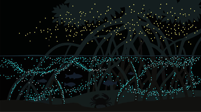 A captivating nocturnal mangrove ecosystem, alive with glowing particles illuminating the water and air