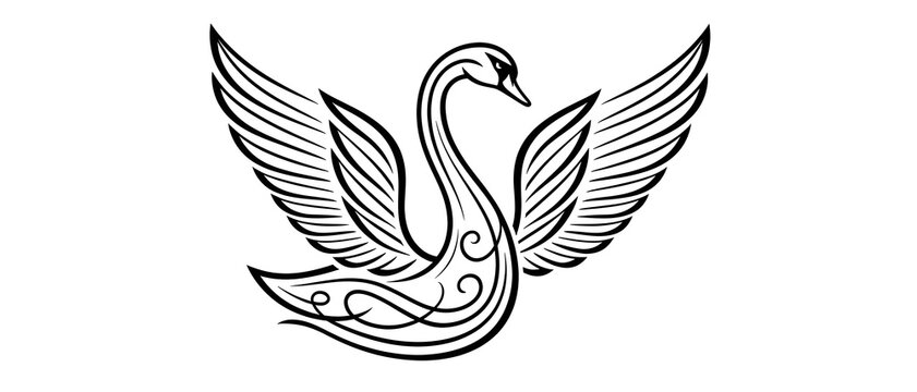 Black and White Flying Swan Vector Silhouette: Ornate Line Art with Wings Spread, Minimalist Bird Illustration on White Background