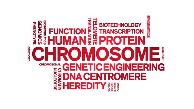 Chromosome animated word cloud-text design animation tag kinetic typography seamless loop.