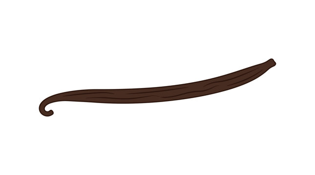 Single vanilla bean pod isolated on white background, natural ingredient for flavoring and baking
