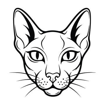 Sphynx cat face drawing
