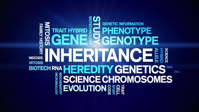 inheritance animated word cloud-text design animation tag kinetic typography seamless loop.