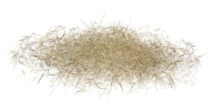 rice isolated on white background/High-resolution isolated pile of dry brown grass twigs and straw on a transparent white background.