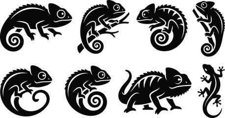 Vector set of exotic chameleon silhouettes with curled tails climbing branches for wildlife logos tattoos stickers and vinyl decal designs. © Nayan