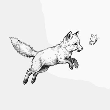 Baby fox kit leaping toward butterfly, ink pen sketch, isolated on white background