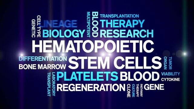 Hematopoietic Stem Cells animated word cloud-text design animation tag kinetic typography seamless loop.