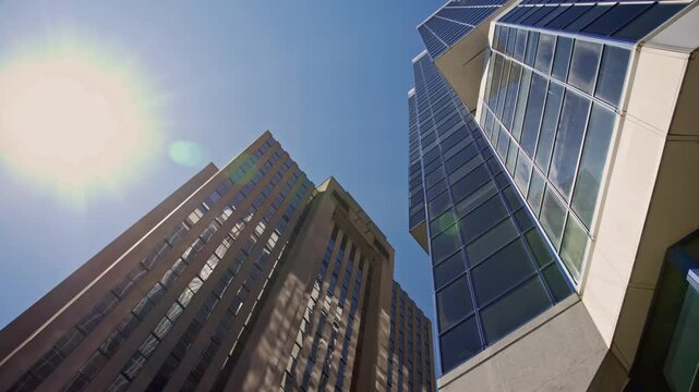 Tall skyscrapers stretch towards the sky in Downtown Halifax, blending modern architecture with lush tree branches, showcasing the city's vibrant urban landscape