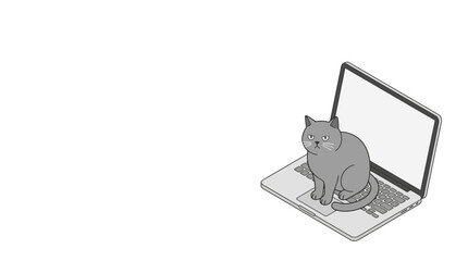 A cute cartoon cat sitting on an open laptop computer. © Parvina
