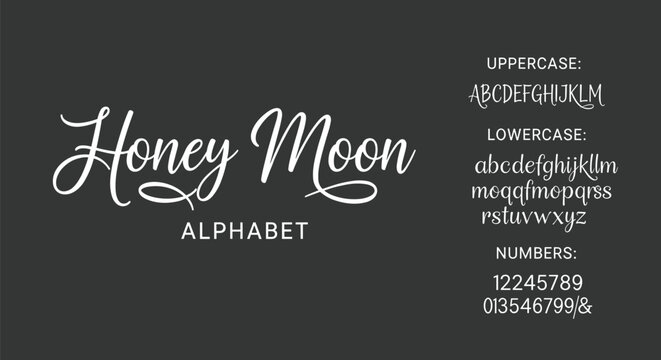 Honey Moon decorative script font introduction with elegant cursive alphabet uppercase lowercase numbers typography vector illustration design