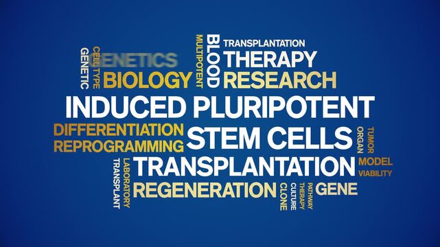 induced Pluripotent Stem Cells animated word cloud-text design animation tag kinetic typography seamless loop.