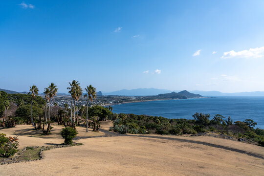 Scenic Bay Overlook with Palm Trees at Ibusuki Kaimon