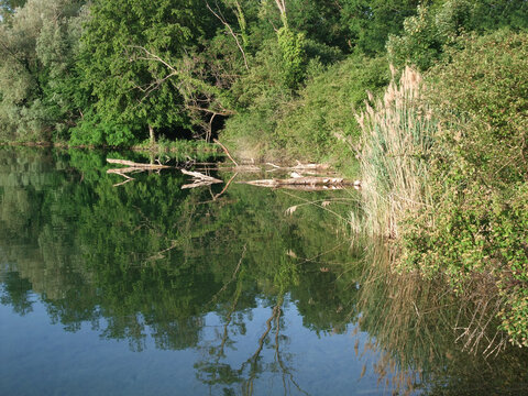 Burkheim Gravel Pit Lake