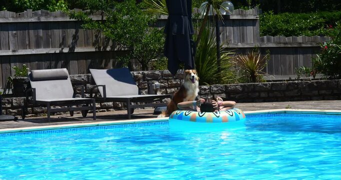Beautiful young girl enjoying relaxing in the pool during a heatwave with her dog